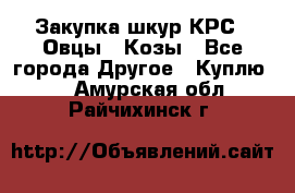 Закупка шкур КРС , Овцы , Козы - Все города Другое » Куплю   . Амурская обл.,Райчихинск г.